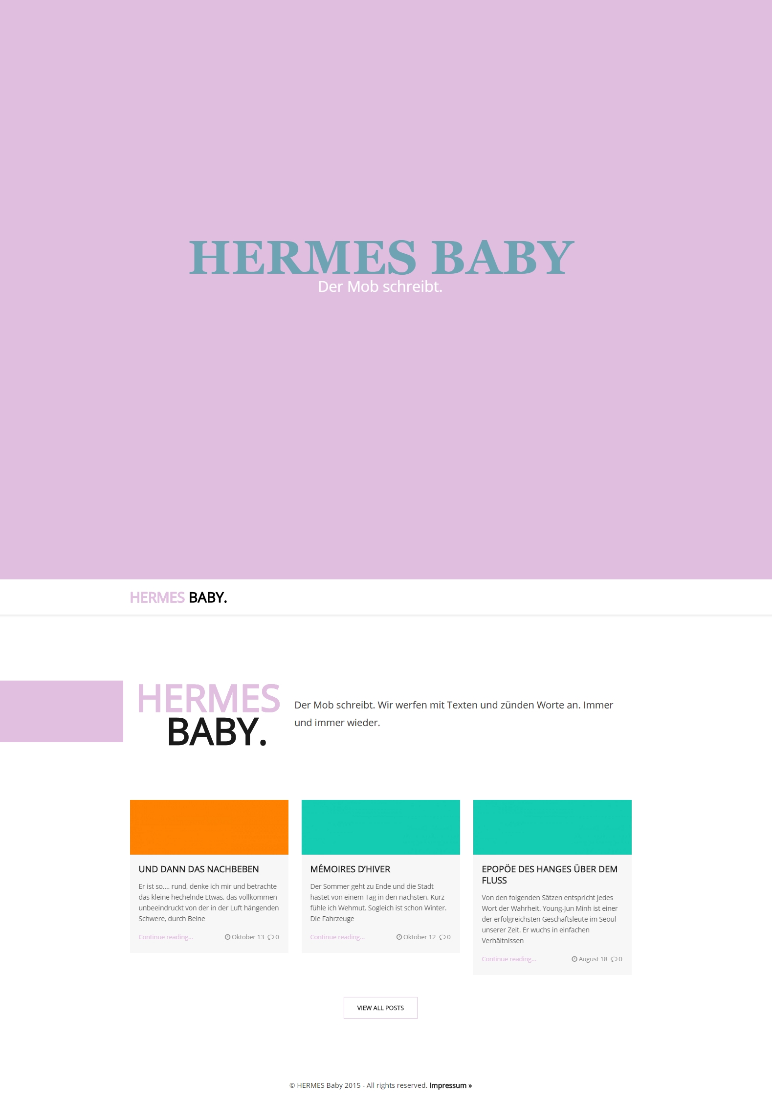 screenshot hermes baby webseite beispiel webentwicklung wordpress