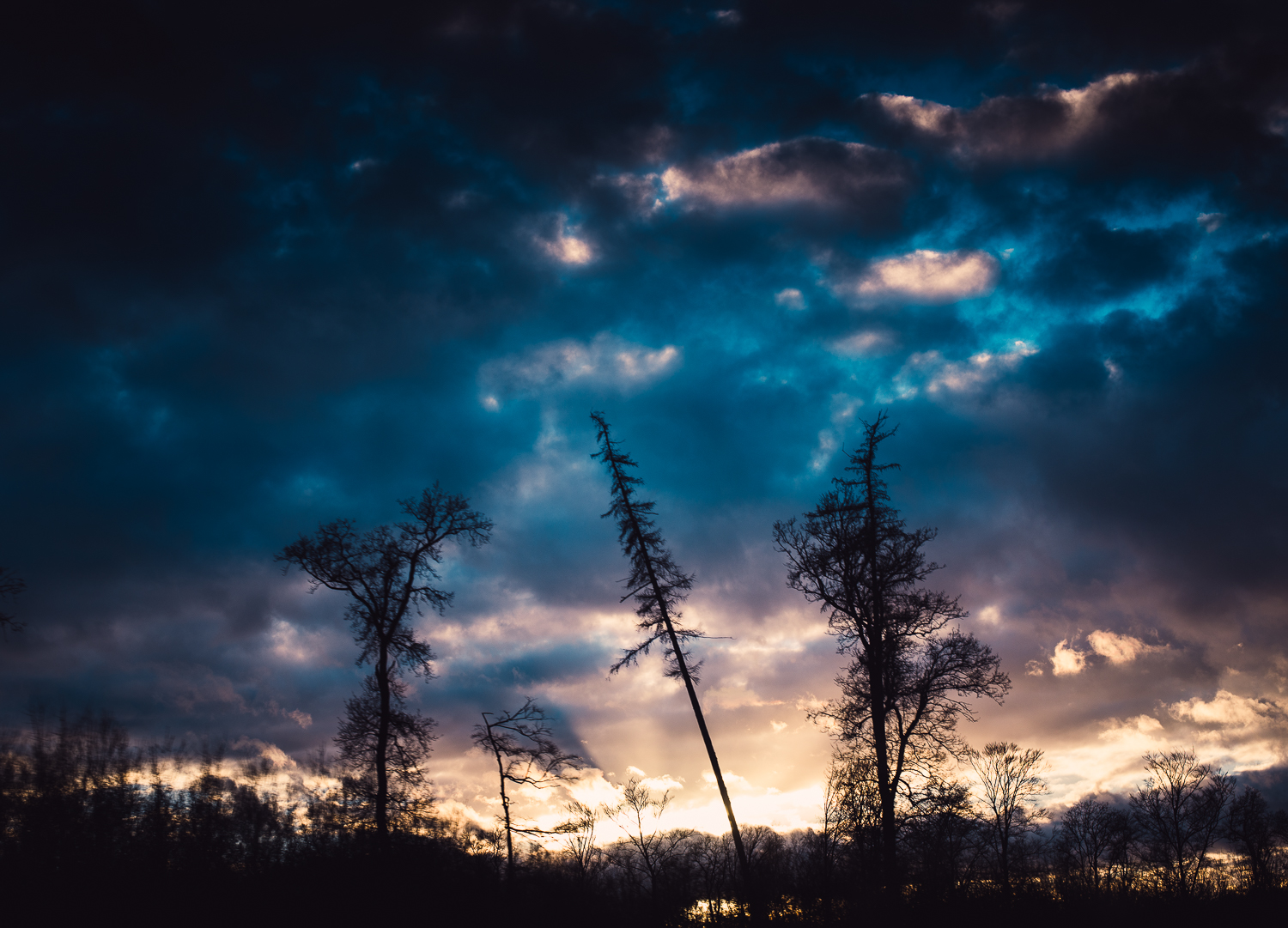Fotografie Festbrennweite Wolken Silhouette Bäume